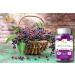 Ved Elderberry Gummies with Vitamin C and Zinc - Elderberry Flavour, Vegetarian, Vegan - 60 Chews - Buy Online on GoSupps.com