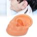 Silicone Right Ear Model for Hearing Aids | Flexible & Soft Simulation Display Ear - Buy Online on GoSupps.com