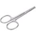 Stainless Steel Nose Hair Trimmer | Ear Hair Scissors - Premium Beauty Tool (1PC - Buy Online on GoSupps.com
