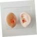 Healifty 1 Pair Fake Ear | Simulated Ear Model for Practice | Ear Cleaning and Acupoint Learning Tool - Buy Online on GoSupps.com