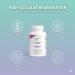 Bordin Health - Premium NAD+ Cell Regeneration with Quercetin & Resveratrol 500mg | Advanced Anti-Aging & Vitality Supplement | Cellular Repair & Cardiovascular Support | 60 Vegan Capsules - Buy Online on GoSupps.com
