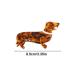 Shop Cute Dachshund Hair Clips | Stylish Animal Clips for Girls | Durable Acetate Dog Hair Accessories - Buy Online on GoSupps.com