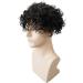 Lordhair Curly Hair Men's Toupee Men 100% Human Hair Hair System for Men Lace with PU Toupee for Men 8x10 inch(20mm) 20mm 8x10inch - Buy Online on GoSupps.com