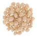 Family Farmed Washington Chickpeas - 5 lbs | Non-GMO, Kosher, USA Grown - Buy Online on GoSupps.com