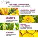 RtopR Mango Deep Cleansing Peeling Gel Whitening Moisturizing Face Peeling Cream Cleanser Acne Blackhead Acne Gel Cream - Buy Online on GoSupps.com