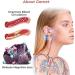 Shop Lymph Flow Magnetic Ring Earrings - Lymphatic Drainage & Acupuncture Jewelry for Women (Set of 3) - Buy Online on GoSupps.com