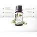 SenseLAB Rosemary Essential Oil - 100% Pure Therapeutic Grade Extract for Diffuser, Hair & Skin Care - Outdoor Protection - 10ml - Buy Online on GoSupps.com