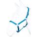 RL24 Nylon Halter BASICLINE - Turquoise/Aqua for Warmbloods | Durable & Stylish Equestrian Gear - Buy Online on GoSupps.com