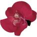 Hawaiian Flower Hair Clips - Orchid Hairpin Bohemia Barrette Headwear - Elegant Fake Headwear Hair Accessories Hawaii Flower Hair Clip Pins for Beach Seaside Holiday Red - Buy Online on GoSupps.com