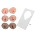 3 pairs of flexible silicone ear models reused soft ear shape fake ear for earrings jewelry display rubber ear for piercing exercises with acrylic stand