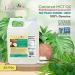 Verdana Coconut MCT Oil Fractionated Genuine 100 Coconut DerivedKosher Certified Food Grade Vegan NON-GMO Great for Keto and Paleo Diet (32 Oz) 32 Ounce - Buy Online on GoSupps.com