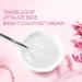 50ml Organic Lip Balm Base | Moisturizing DIY Lip Lick & Gloss | Clear Transparent Lip Glazing Material - Buy Online on GoSupps.com