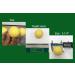 AAA-Grade Standard Billiard Cue Ball - 2-1/4'' Size, 6 oz Weight - Buy Online on GoSupps.com