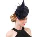 Gogogmee 1pc Mesh Headband Women Headdress Veil Hair Band Female Party Headdress Women Headwear Flower Hair Band Feather Hair Band Hair Band with Veil Party Hair Accessory Female Headband One Size Black - Buy Online on GoSupps.com
