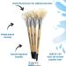 ZEM White Hog Bristle Stiff Fan Brush Set - Sizes 2, 4, 6, 8 - Buy Online on GoSupps.com