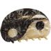 Acetate Hair Claw French Design Slip Hair Clip Semicircle Hair Barrettes Retro Ponytail Decor Fashion Hair Props Acetate 1# - Buy Online on GoSupps.com