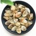 100g 20-40mm Natural Tumbled Citrine Quartz Crystal Stones Reiki Stones Brazil Natural Stones and Crystals Full of Texture - Buy Online on GoSupps.com