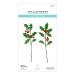 Sealed Holly Sprigs