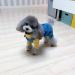 Dog Denim Jumpsuit Costume for Yorkie Bulldog | Cat Pet Jean Overalls Clothes | Size M (Blue) - Buy Online on GoSupps.com