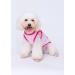 3-Pack Dog Clothing | Princess & Prince T-Shirts for Cats & Small to Medium Dogs - Cute Costumes - Buy Online on GoSupps.com