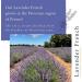 Absolute Aromas French Lavender Essential Oil 30ml - 100% Pure, Natural, and Cruelty-Free - Ideal for Diffusers and Aromatherapy Blends - Buy Online on GoSupps.com