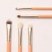 THE TOOL LAB 404 Eye Shadow Brush Set - Professional 5-Piece Makeup Brush Kit with Travel Case for Precision Eyeliner Blending and Concealer - Buy Online on GoSupps.com