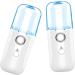 SKISUNO 3pcs Nano Water Replenishing Instrument Face Humidifier Portable Facial Moisturizing White Plastic - Buy Online on GoSupps.com