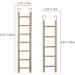 3pcs Natural Wooden Bird Ladder for Parrots, Parakeets, Cockatiels - 6 Step, 7 Step, 8 Step Climbing Accessories - Buy Online on GoSupps.com