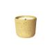 Scented Candles Enjoy Collection of Jar Candles Natural Soy Aromatherapy Candle Gift for Women and Men (Yellow)