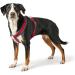 Hunter Harness London Comfort | Premium Dog Harness in Red SM/1 | International Shipping Available - Buy Online on GoSupps.com