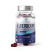Source Biology Elderberry Gummies - Immune Support Formula - 4 500 Mg Elderberry per Serving - Vegan Friendly Gummies - with Vitamin C and Zinc