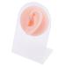 Beaupretty Ear Jewelry Holder Jewelry Kits Earring Stud Set Papoose for Babies Earring Support Moulds Silicone Ear Model for Piercing Silicone Ear Model Ear Piercing Model Jewelry Ear Model Complexion 11.5x7.5cm