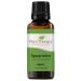 Plant Therapy Spearmint Essential Oil 30 mL (1 oz) 100% Pure Undiluted Therapeutic Grade