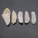50G 4-6cm Natural Raw White Quartz Crystal Rough Stone Specimen Crystal Natural Stone Minerals Rock - Buy Online on GoSupps.com