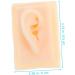 Healifty Silicone Human Ear Massage Tools - 1 Pair | Flexible Ear Practice & Training Model - Buy Online on GoSupps.com
