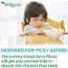 Wellgenix Balanced Essentials Liquid Kids Vitamin - Immune System Booster & Nutritional Multivitamin for Picky Eaters - 16 Oz - Buy Online on GoSupps.com