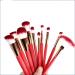 10-Piece Color Changing Handle Makeup Brush Set | Red Foundation & Essential Makeup Tools - Buy Online on GoSupps.com