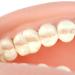 Uigjiog Junction Oral Hygiene Model - Portable Teaching Tool for Toothbrush & Dental Hygiene Education - Buy Online on GoSupps.com