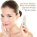 Shankara Ageless Vitamin C Serum - Hydrating Herbal Neck & Face Serum for Dark Spots Fine Lines & Wrinkles - Cruelty-Free & Fragrance-Free (30ml - Buy Online on GoSupps.com