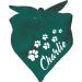 Little Fratz dog triangular scarf (color: turquoise) (size 1 (55 cm)) name of the dog 55 x 18 turquoise