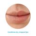 Neutrogena Norwegian Formula Lip Moisturizer SPF 15 - 0.15 oz (4g) - Buy Online on GoSupps.com