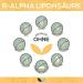 Buy R-Alpha-Lipoic Acid 400 mg | 120 Vegan Capsules | High Dosage & Bioavailability | Eco-Friendly Packaging - Worldwide Shipping - Buy Online on GoSupps.com