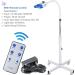 3 Mode LED Teeth Whitening Lamp - Professional Dental Bleaching Light with Disposable Bibs & Accessories for Optimal Whitening Results - Buy Online on GoSupps.com