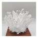 Very Beautiful 1pcs Natural Raw Quartz White Clear Stones Point Home Decoration Raw Crystals Mi (Size : 300-400g) Home Goods (Size : 300-400g)