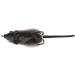 2pcs Freshwater Soft Rubber Mouse Rat Fishing Lures - Dual Hook Bass Bait in Dark Grey - Buy Online on GoSupps.com