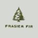 Thymes Luminary Frasier Fir Candle - Luxury Pine Scented Candle for Home Decor & Bath - 20 Oz Silver Candle - International Shipping Available - Buy Online on GoSupps.com