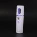 Jalzdieod 20X Steamer Nano Steamer Handy Mister Mist Moisture Face Sprayer Rechargeable Mini USB (White) - Buy Online on GoSupps.com