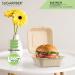 50 Count Sugarfiber 6x6 Compostable Square Hinged Container - Eco-Friendly Plant Fibers - Buy Online on GoSupps.com