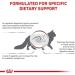 Royal Canin Veterinary Gastrointestinal Cat Food 4 kg | Dry Food for Cats with GI Issues | Supports Digestive Health & High Acceptance - Buy Online on GoSupps.com