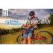 Buy PROBAR Bolt Organic Energy Chews Raspberry - 2.1 oz (Pack of 12) | Best Organic Energy Snack for Active Lifestyle - Fast International Shipping - Buy Online on GoSupps.com